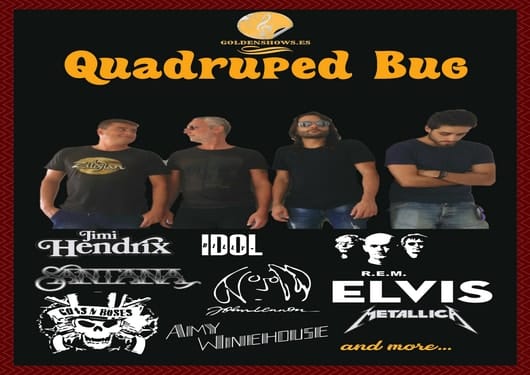 QUADRUPED BUG